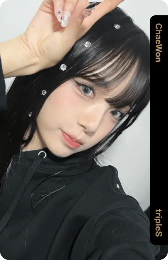 ChaeWon D310Z