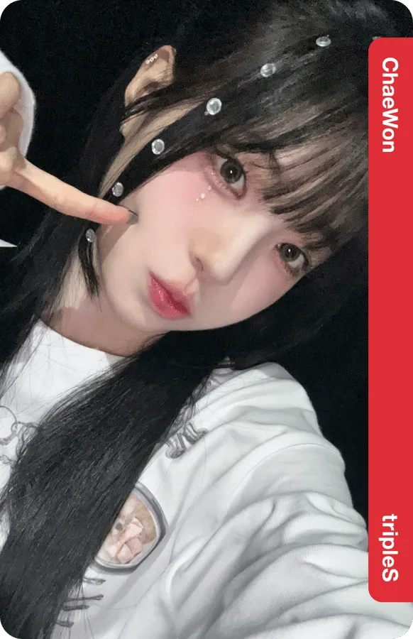 ChaeWon D317Z
